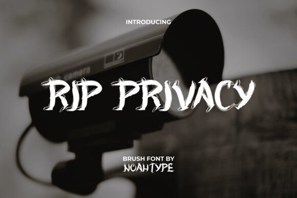 Rip Privacy: The Grunge Font for Bold, Mysterious Designs